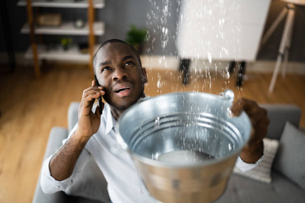 Best Professional water damage repair  in Belmar, NJ