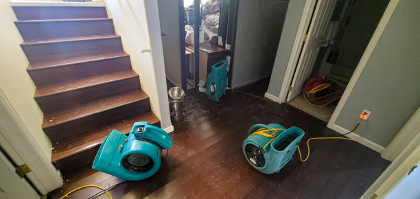 Best Professional water damage repair  in Belmar, NJ