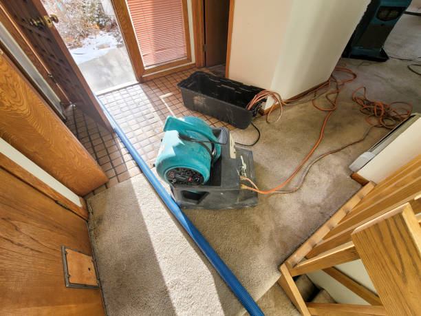 Best 24-hour water damage restoration  in Belmar, NJ