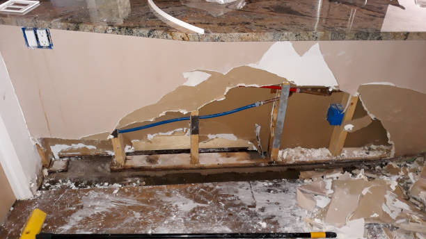 Best Ceiling water damage repair  in Belmar, NJ