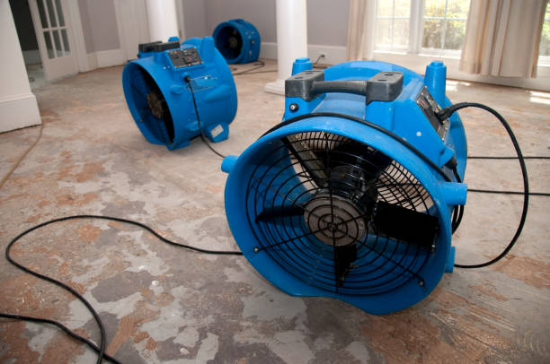 Best Water damage restoration insurance claims  in Belmar, NJ